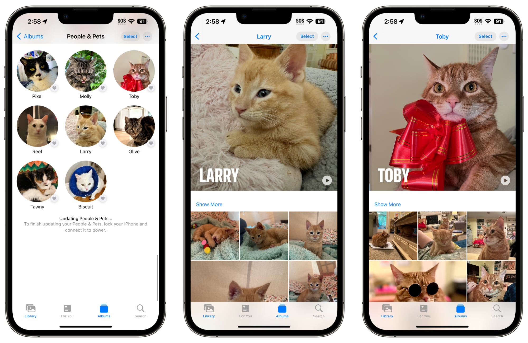 ios 17 pets photos