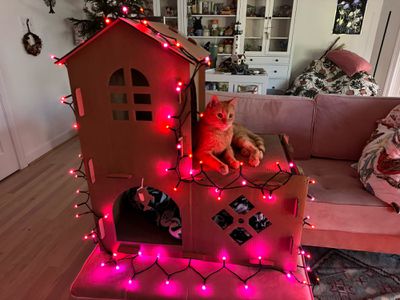 nanoleaf string lights in pink